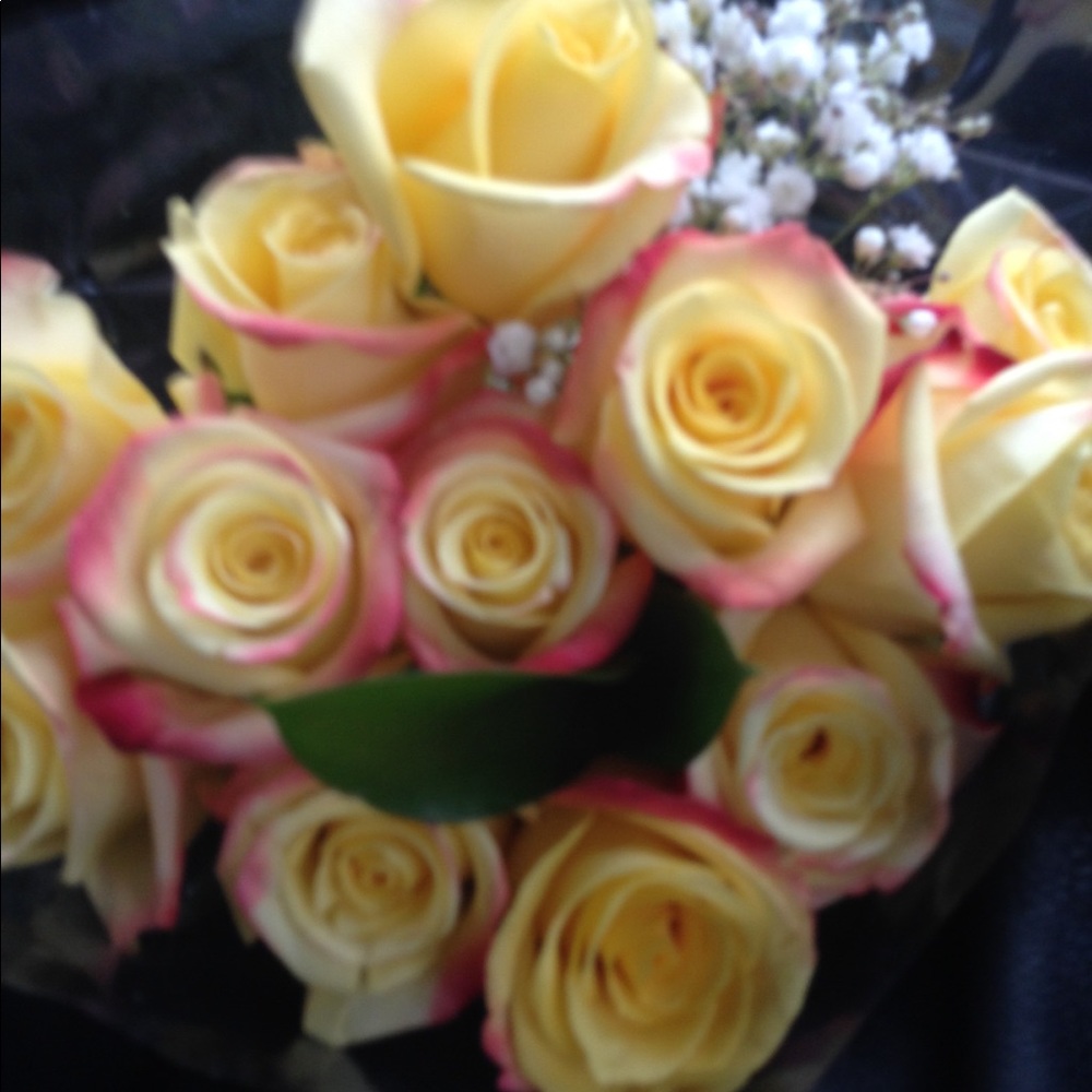 Meet your Posher, Jorleny